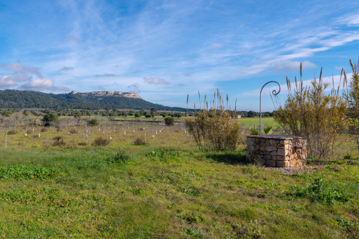 Ubicación tranquila