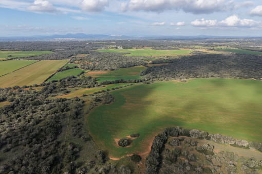 Terreno rustico cerca de Santanyi