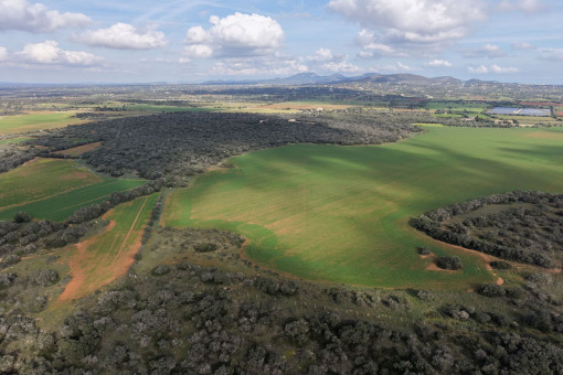 Terreno para construir delante de Santanyi