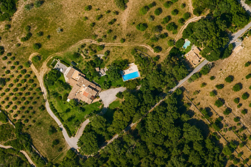 Finca desde arriba