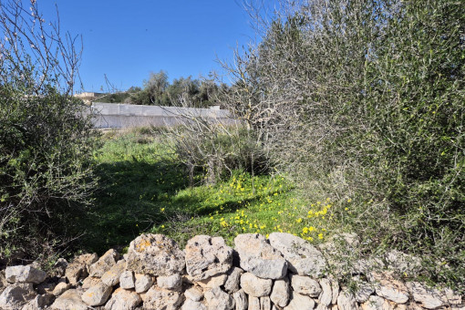 Parcela situada en un entorno cuidado y agradable