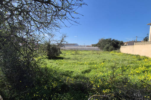 Tranquila ubicación en las afueras del pueblo