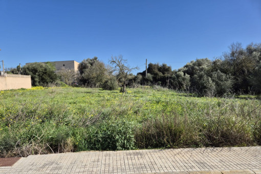 Base ideal para su futura vivienda o proyecto de inversión