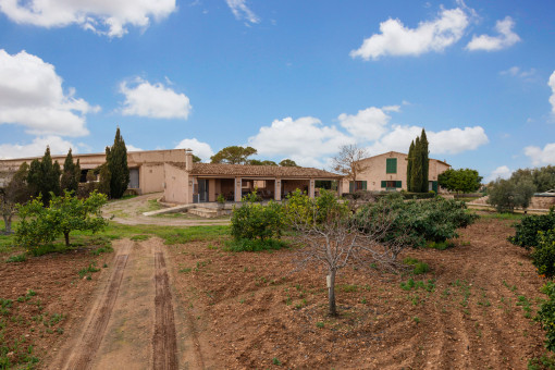 Jardín cuidado con árboles frutales mediterráneos
