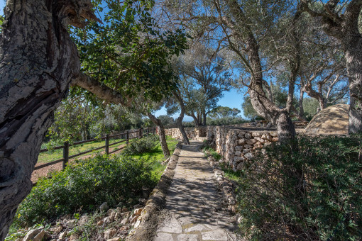 Jardin con vegetacion