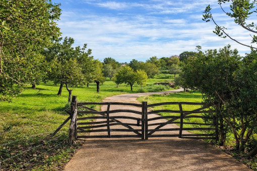 Rodeado de naturaleza