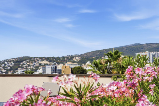 Vista desde la terraza hacia Illetes 