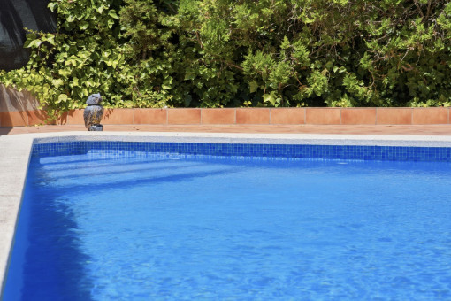 Piscina comunitaria 