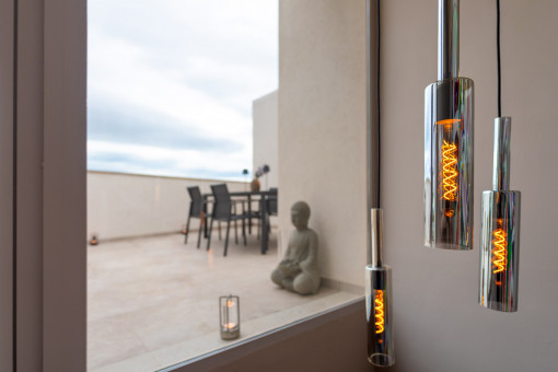 Acceso a la terraza en la azotea