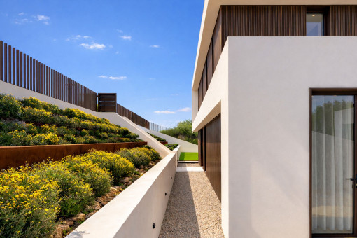 Jardín de bajo mantenimiento alrededor de la vivienda