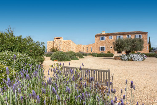 Imponente patio de entrada