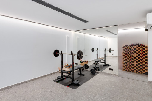 Gimnasio