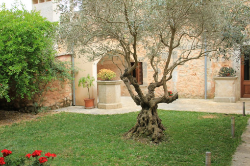 Jardin