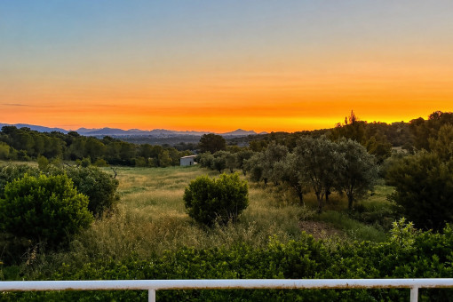 Atardecer hacia el oeste