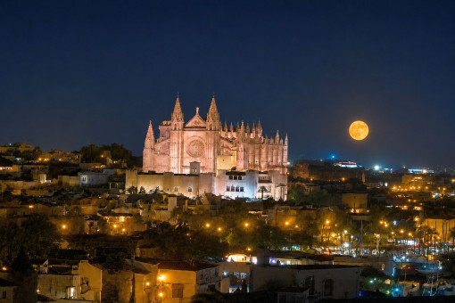 Vistas sobre Palma con vistas a la catedral de noche