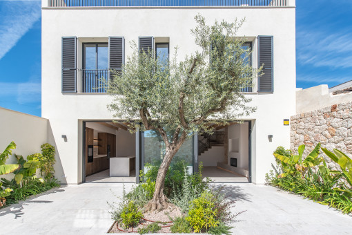 Patio con varios plantas