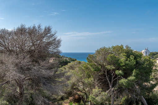 Terraza en la azotea con vistas al mar