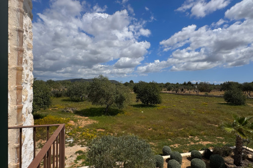 Finca Llucmajor View