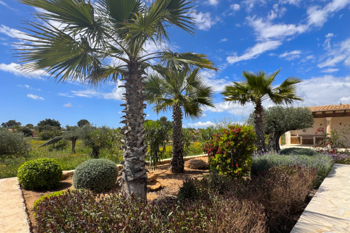 Finca Llucmajor Jardin