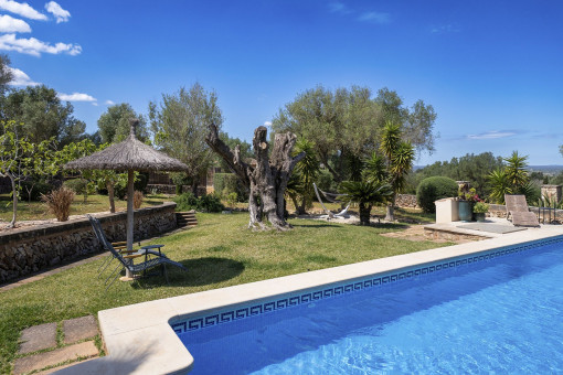 Jardin en buenas condicionrd.