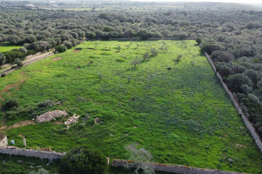 Terrano con vista
