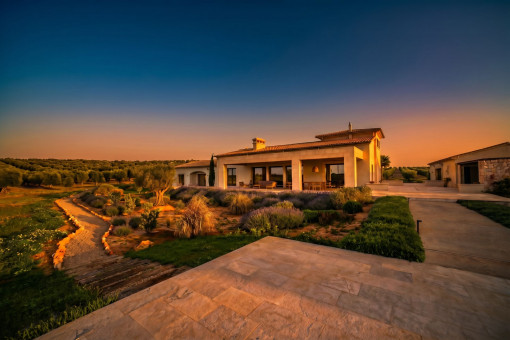 Terraza en una espectacular atmósfera al atardecer