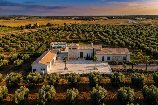 Vista aérea de la finca con jardín mediterráneo, piscina y olivar