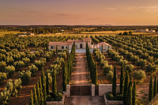 Elegante entrada a la exclusiva finca