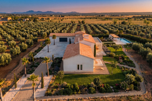 Vista aérea al atardecer sobre la finca con piscina y olivar