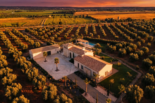 Imagen con dron al atardecer sobre el jardín y la propiedad