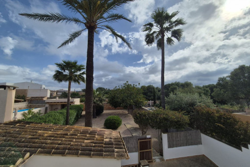 Vistas al jardín
