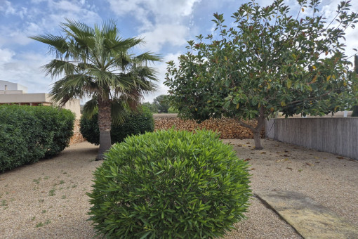Jardín