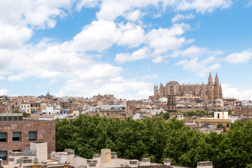 Palma