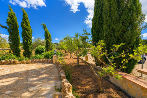 Huerto