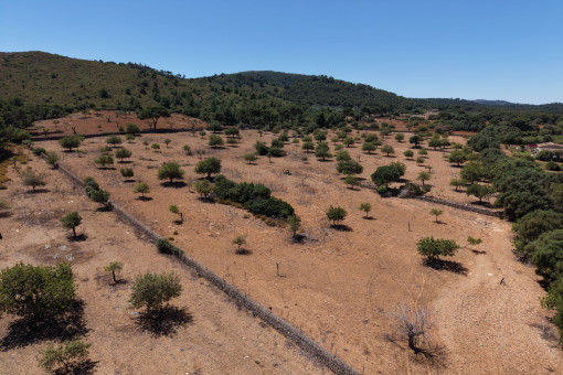A pie de montaña