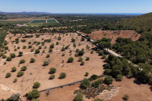 Vistas panoramicas 