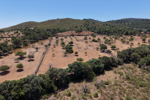 terreno con mucho potencial