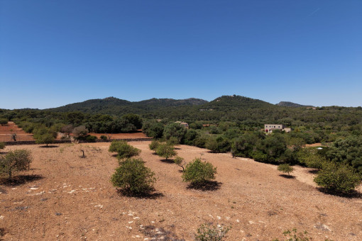 Vista increibles a 360