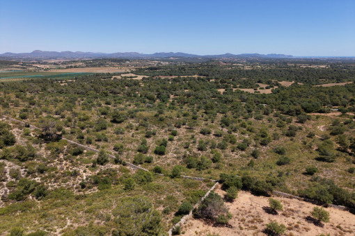 Vistas por toda la isla