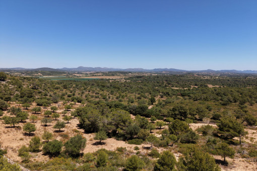 Vistas por toda la isla