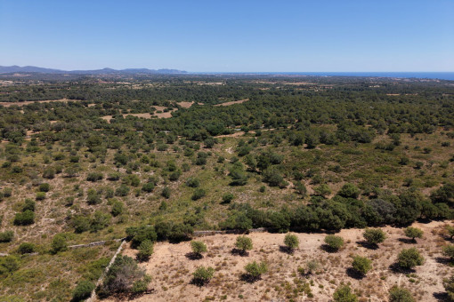 Vistas por toda la isla
