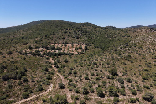 Terreno en la montaña