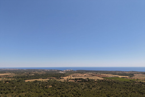 Vistas