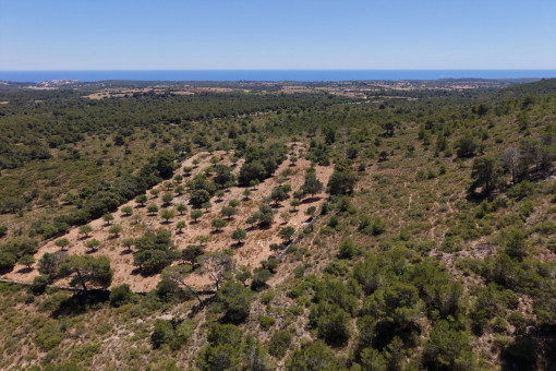 Vista al mar
