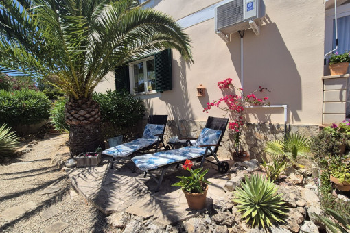 Terraza con tumbonas bajo las palmeras