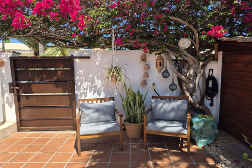 Acogedora zona de estar a la sombra de un árbol en flor