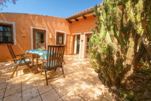 Terraza soleada con jardín de cactus