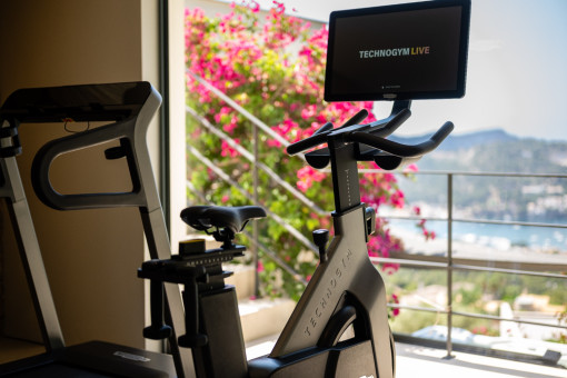 Gimnasio