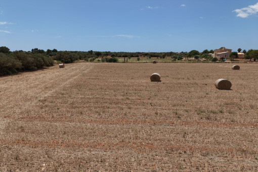 Terreno edificable cerca de Campos