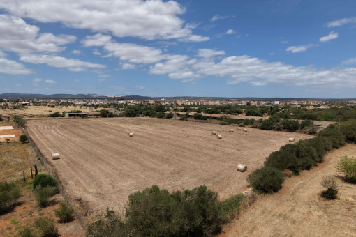 Vista aerea
